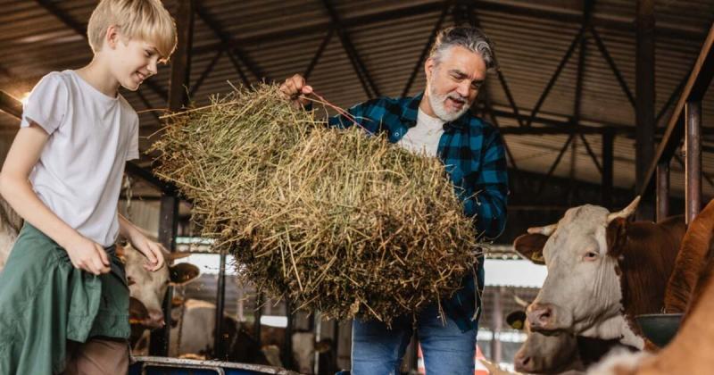 Új jogszabály lépett életbe, amely megkönnyíti az agrárgazdaságok generációs átadását | AGROKÉP