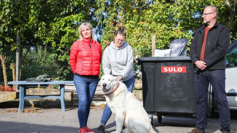 Egy hatalmas konténernyi állateledelt kaptak ajándékba – nézd meg a fotókat!