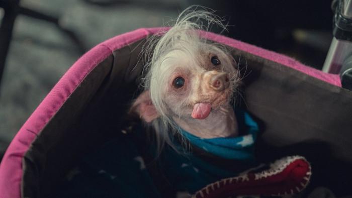 Netflix: Most már biztos, hogy a 2025-ös romantikus vígjátéksorozatnak nem lesz második évada.