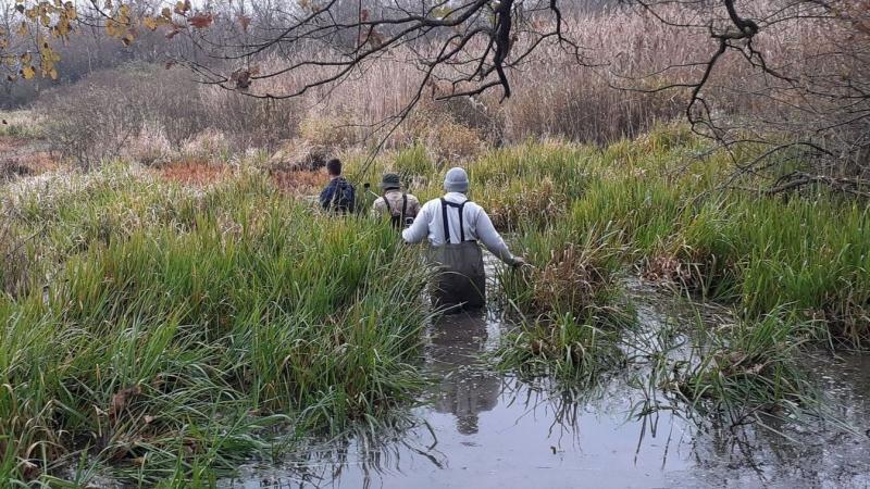 A Hortobágyi Nemzeti Park szakértői különleges figyelmet szenteltek egy fokozottan védett halfaj telepítésének. Az esemény célja a helyi ökoszisztéma gazdagítása és a biodiverzitás növelése volt.