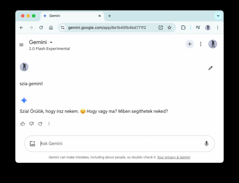 Bemutatkozik a Gemini 2.0 chatbot, amely a Google innovatív lépése a mesterséges intelligencia ügynökök új korszakának elindítására!