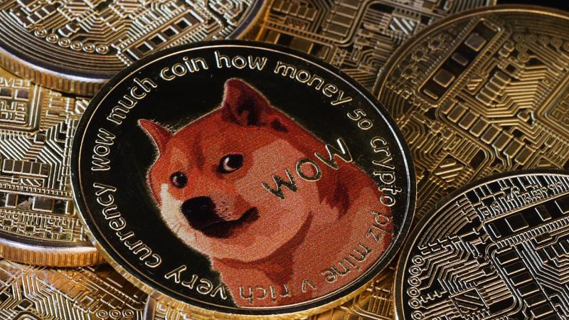 Elon Musk hivatalos weboldala végre elérhetővé vált, és vele együtt a Dogecoin is szárnyra kapott!