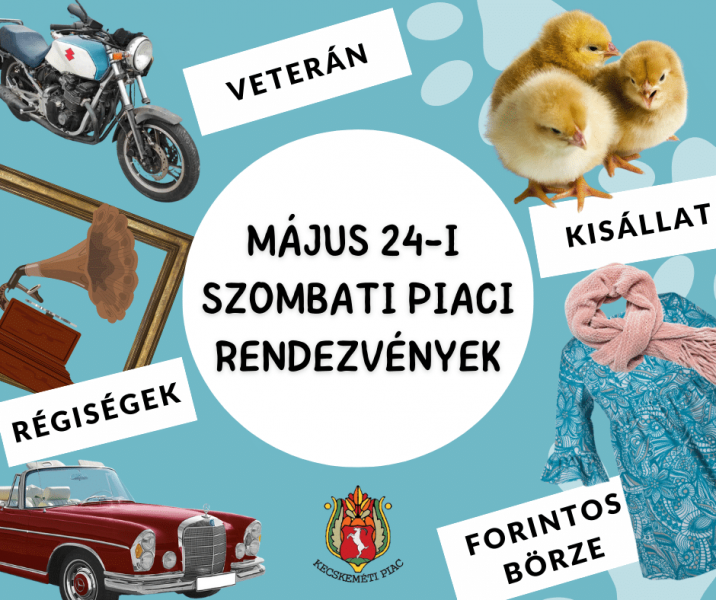 Szombati Piac: Különleges Rendezvények és Élmények

Minden szombaton a város szívében pezsgő piaci forgatag várja a látogatókat. A rendezvények során nemcsak friss termények és helyi kézműves termékek várnak, hanem izgalmas programok, szórakoztató előadás