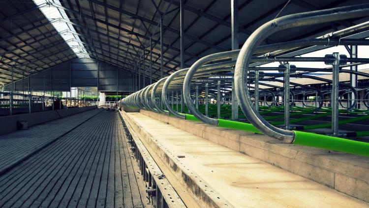 KAP-beruházások: Friss impúlzus az agrárium fejlődéséhez?

A Közös Agrárpolitika (KAP) keretében megvalósuló beruházások új lehetőségeket teremtenek az agrárium számára, elősegítve a fenntartható fejlődést és a versenyképesség növelését. Ezek a támogatáso