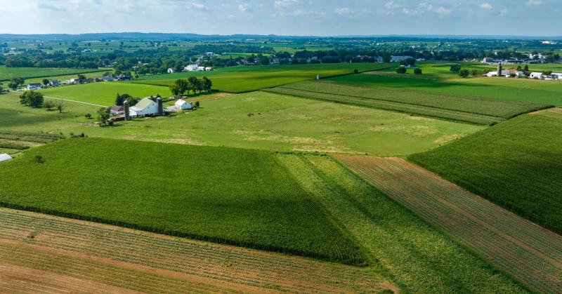 Földtulajdonos gazdák: papíron gazdagok, de a valóságban a mindennapjaik sokkal inkább a küzdelemről és a megélhetésért folytatott harcról szólnak.