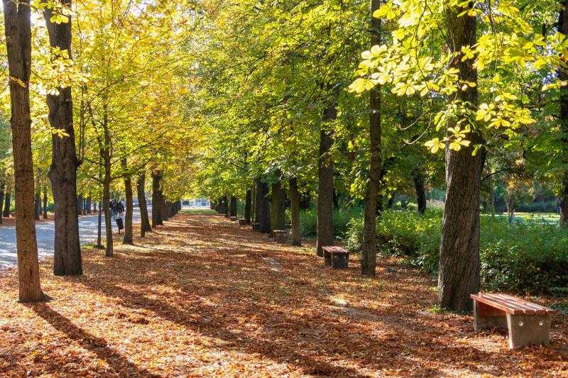 Vasárnapra is megmarad az enyhe időjárás - videós tartalom - EgerHírek