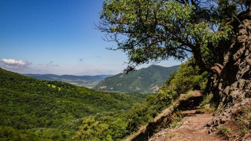 Bővül a Pilisi Bioszféra Rezervátum: Fedezd fel a sokszínű tájat!