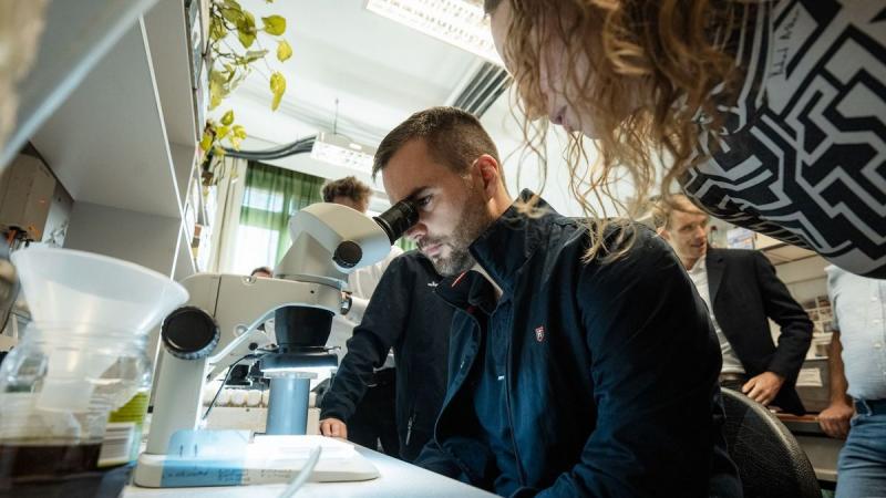 Szegedi muslicák az űr mélységeiben: a DNS túlélésének titkait kutatják a kozmikus sugárzás hatására.