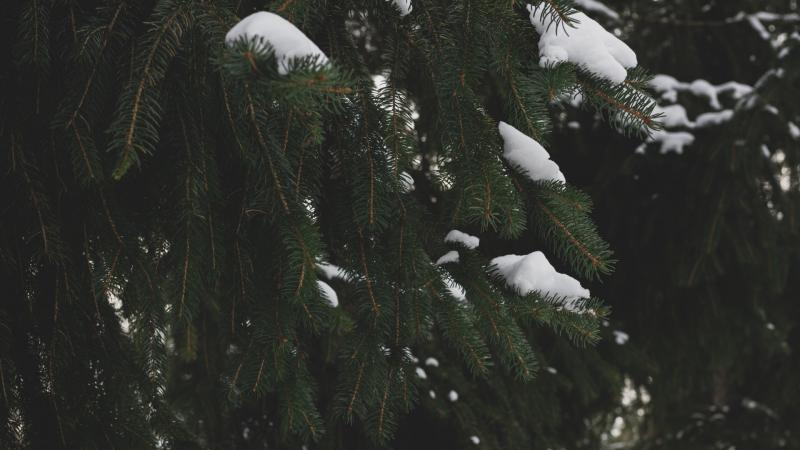 A következő hét során Európában beköszönt a tél varázsa - itt az ideje, hogy megérkezzen az első hó!